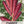 Cosmic Purple Carrot Seeds For Planting (Daucus carota)