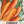 Danvers 126 Carrot Seeds For Planting (Daucus carota)