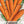 Imperator 58 Carrot Seeds For Planting (Daucus carota)