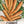 Little Finger Carrot Seeds For Planting (Daucus carota)