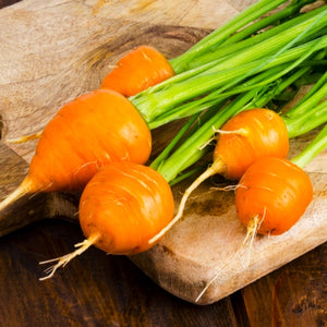 Paris Market Carrot Seeds For Planting (Daucus carota)