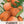 Paris Market Carrot Seeds For Planting (Daucus carota)