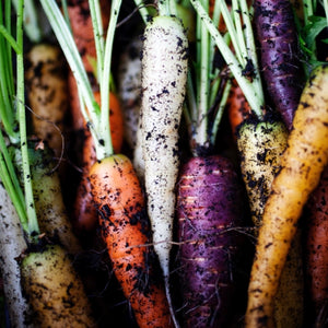 Rainbow Carrot Seeds For Planting (Daucus carota)