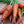 Red Core Chantenay Carrot Seeds For Planting (Daucus carota)