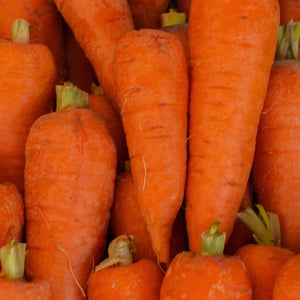 Royal Chantenay Carrot Seeds For Planting (Daucus carota)