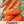Scarlet Nantes Carrot Seeds For Planting (Daucus carota)