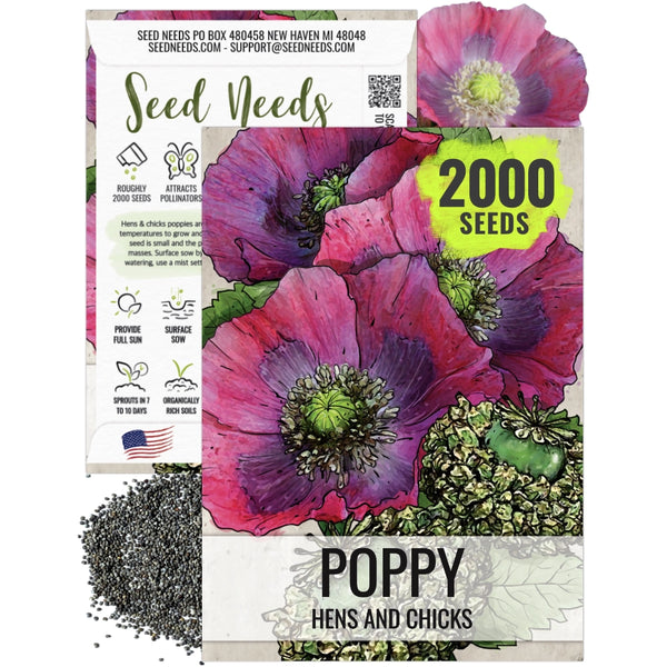 Hens and Chicks Poppy Seeds For Planting (Papaver somniferum)