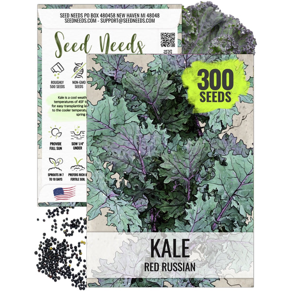 Red Russian Kale Seeds For Planting (Brassica napus)