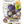 Purple Tomatillo Seeds For Planting (Physalis ixocarpa)