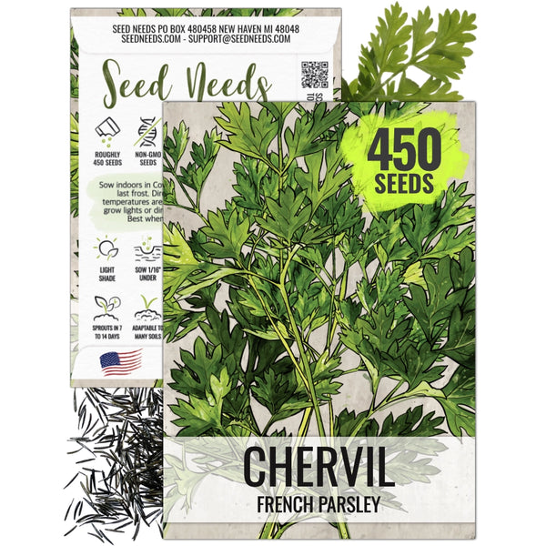 planting chervil seeds Chervil Herb Seeds For Planting (Anthriscus cerefolium) – Seed Needs LLC