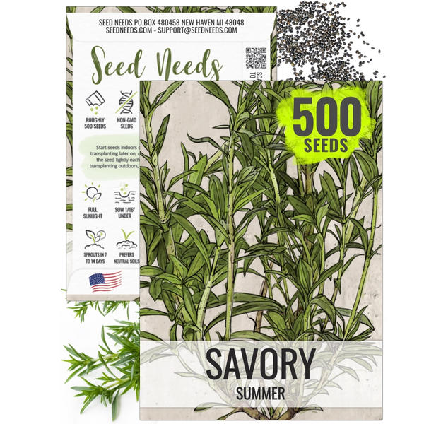 plant and herb seeds Summer Savory Herb Seeds For Planting (Satureja hortensis) – Seed Needs LLC