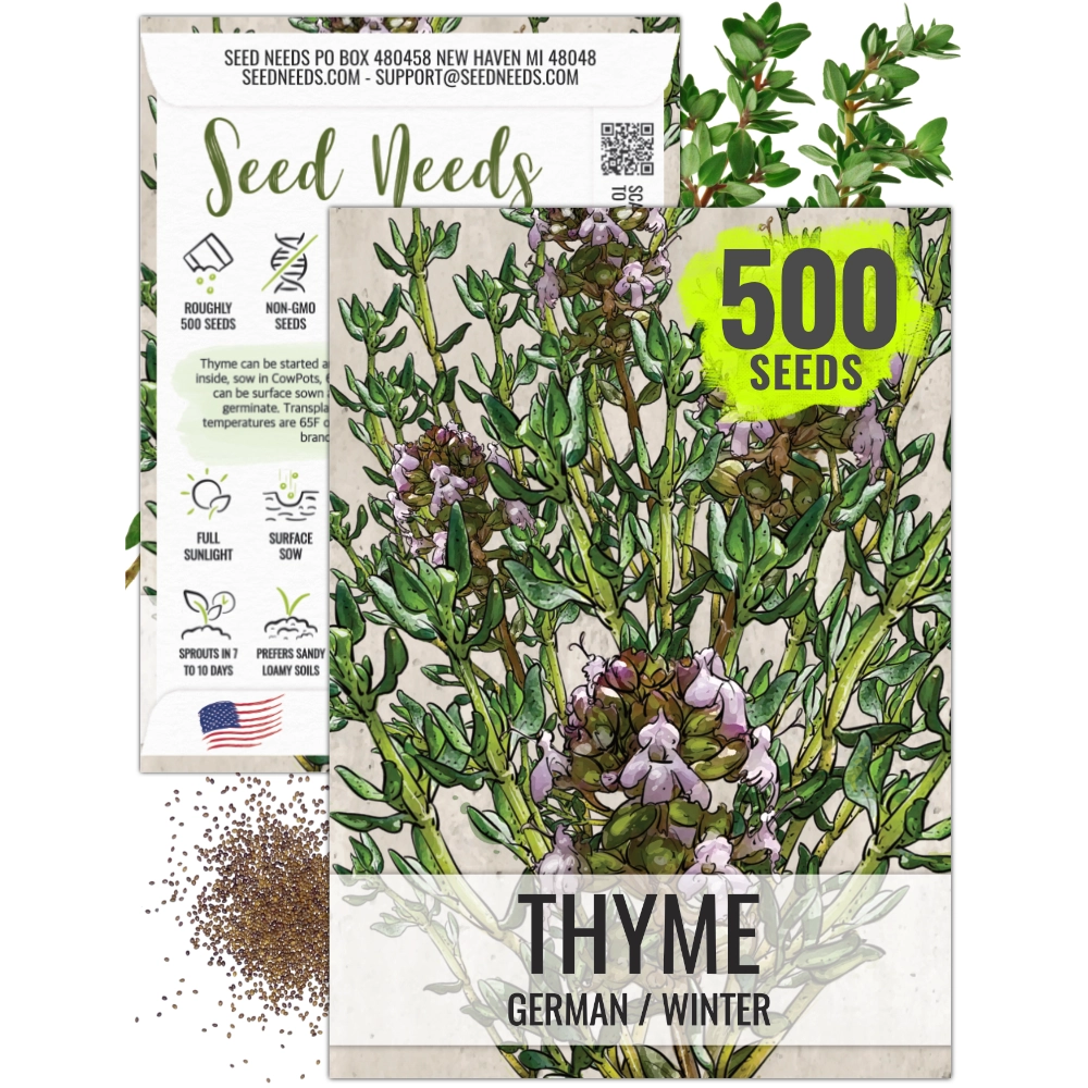 thyme garden seed company Thyme Herb Seeds For Planting (Thymus vulgaris) Seed Needs – Seed Needs LLC