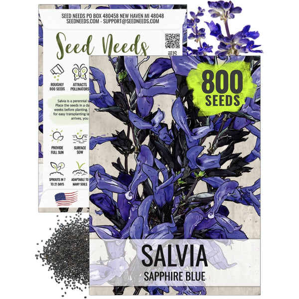 Sapphire Sage Seeds For Planting / Sapphire Salvia (Salvia farinacea)