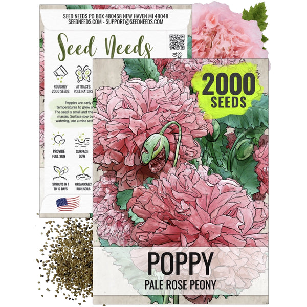 Pale Rose Peony Poppy Seeds For Planting (Papaver paeoniflorum)