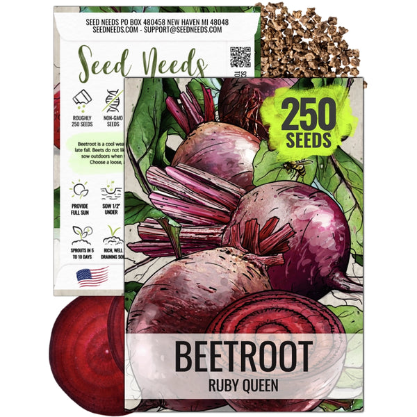 Ruby Queen Beet Seeds For Planting (Beta vulgaris)