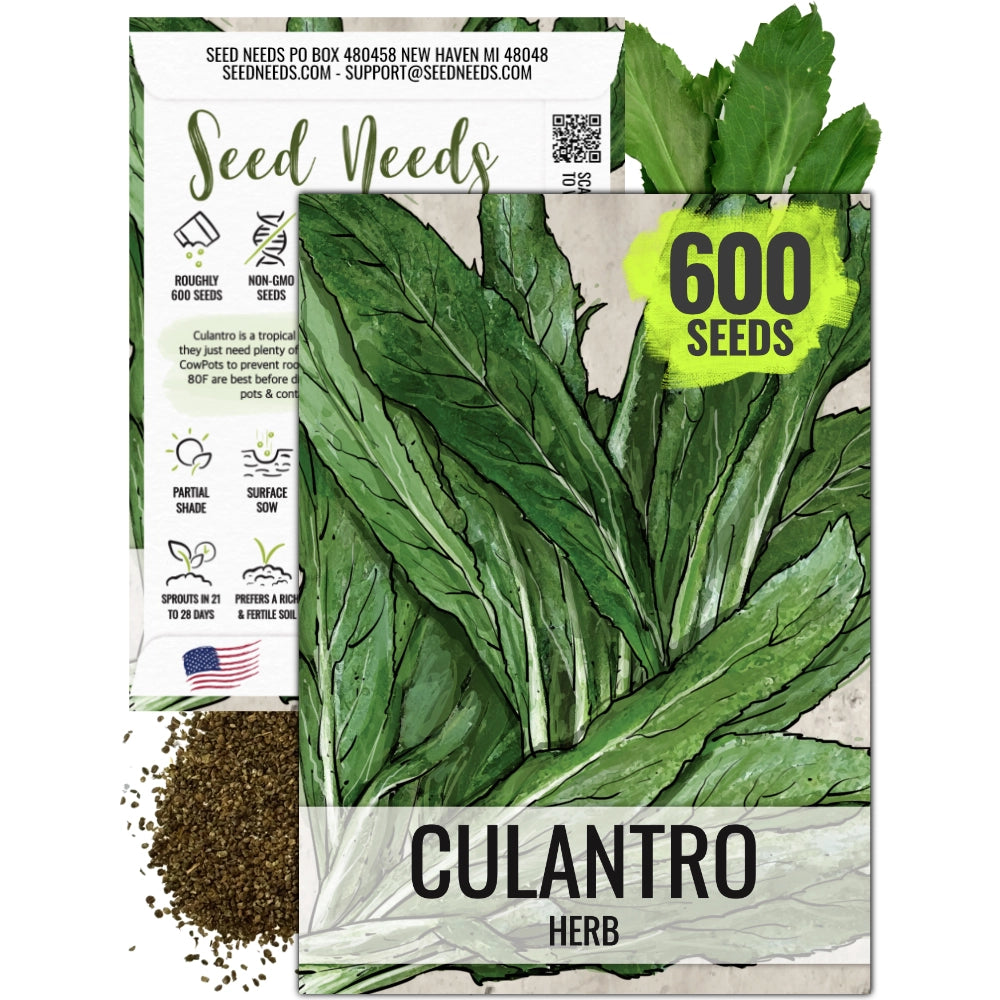 Culantro Herb Seeds For Planting (Eryngium foetidum)