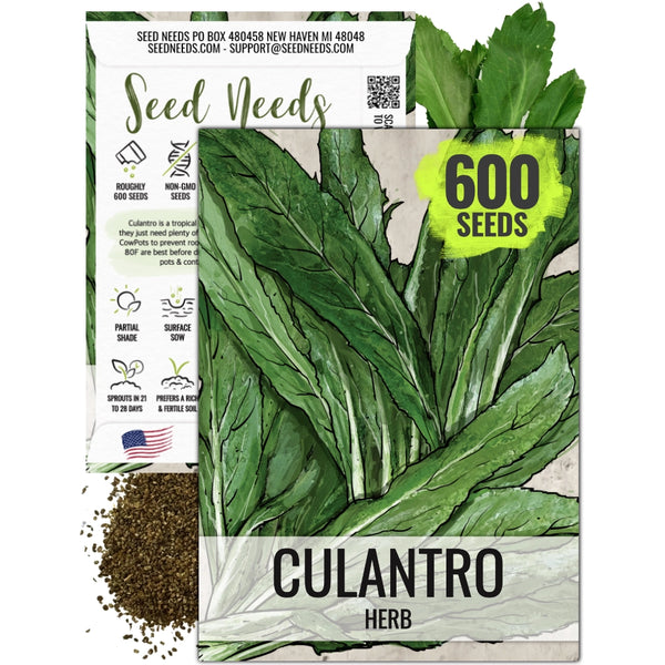 Culantro Herb Seeds For Planting (Eryngium foetidum)