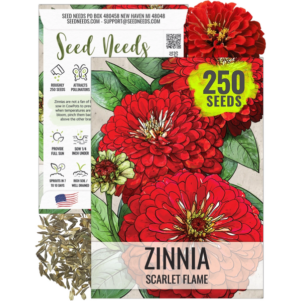 Scarlet Flame Zinnia Seeds For Planting