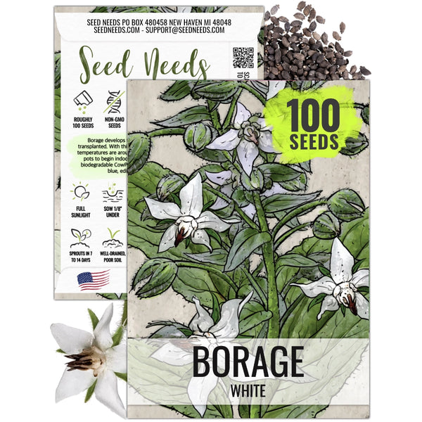 White Borage Seeds For Planting (Borago officinalis)