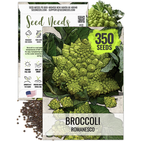 broccoli seeds for planting Romanesco Broccoli Seeds For Planting (Brassica oleracea) Seed Needs – Seed Needs LLC