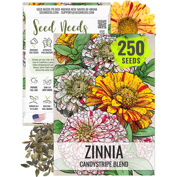 Candystripe Zinnia Mixture (Zinnia elegans)