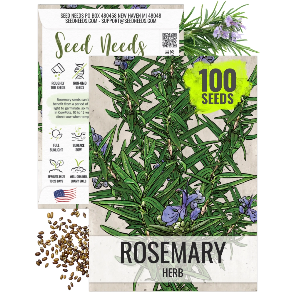 Seed Needs Rosemary Herb Seeds - Thumbnail 5