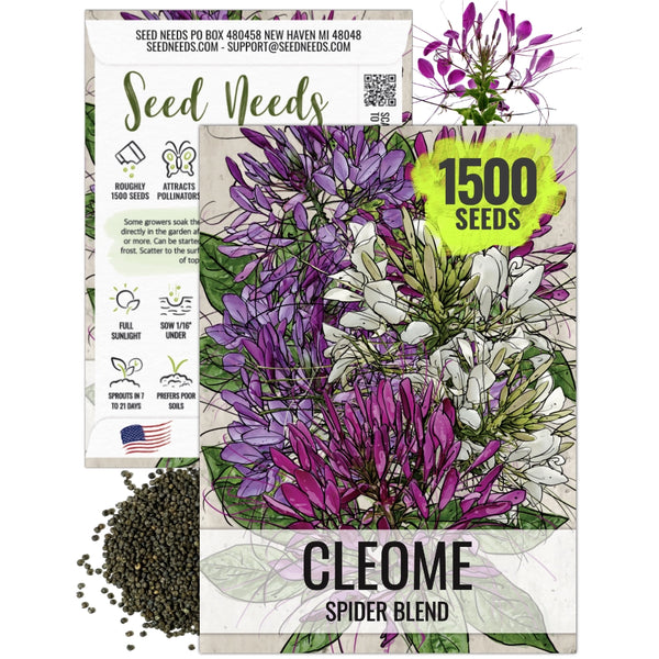 Cleome Seeds For Planting, Spider Mixture (Cleome hassleriana)