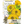 Canary Bird Zinnia Seeds For Planting (Zinnia elegans)