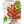 Red Core Chantenay Carrot Seeds For Planting (Daucus carota)