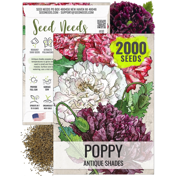 Antique Shades Peony Poppy Seeds For Planting (Papaver paeoniflorum)
