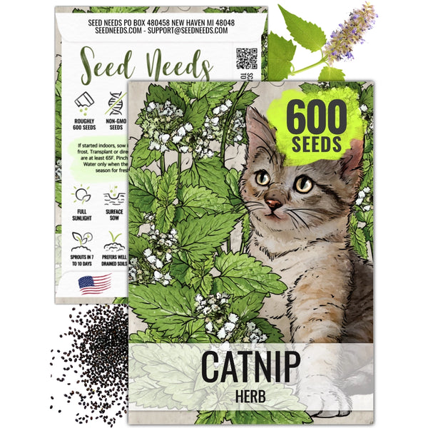 nerve plant seeds Catnip Herb Seeds For Planting (Nepeta cataria) Seed Needs – Seed Needs LLC