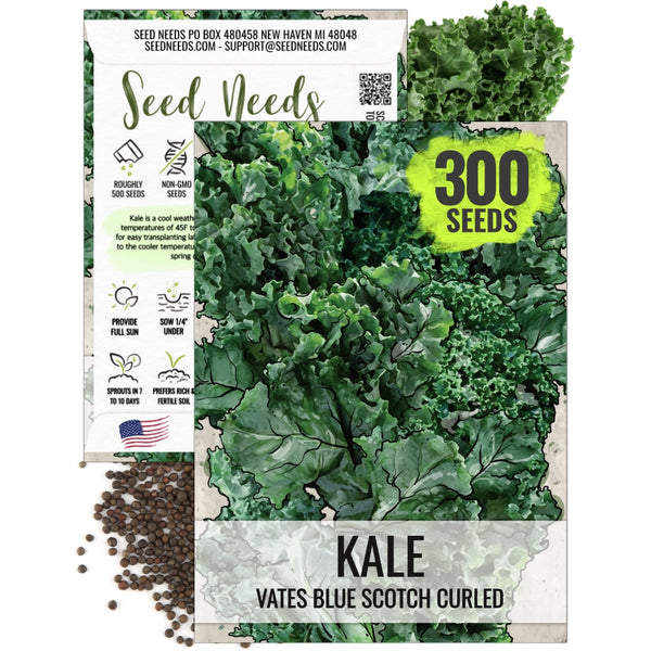 Kale Seeds For Planting, Vates Blue Scotch Curled (Brassica oleracea)
