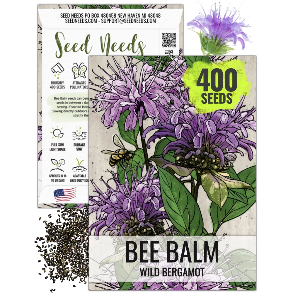 Wild Bee Balm Seeds For Planting (Monarda fistulosa)