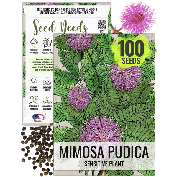 plant seeds for cheap Sensitive Plant Seeds For Planting (Mimosa Pudica) Seed Needs – Seed Needs LLC