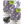Catmint Herb Seeds For Planting (Nepeta mussinii)