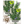 Rosemary Herb Seeds For Planting (Rosemarinus officinalis)