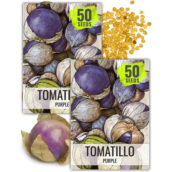 Purple Tomatillo Seeds For Planting (Physalis ixocarpa)