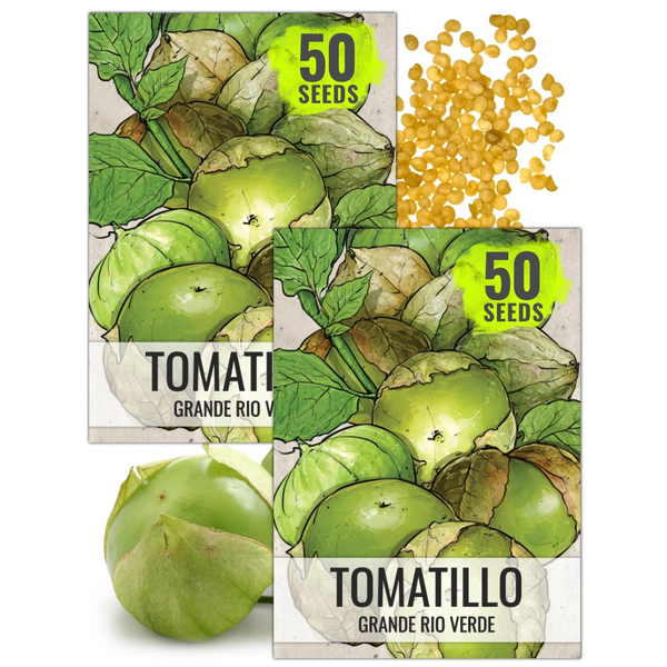 Grande Rio Verde Tomatillo Seeds For Planting (Physalis ixocarpa)