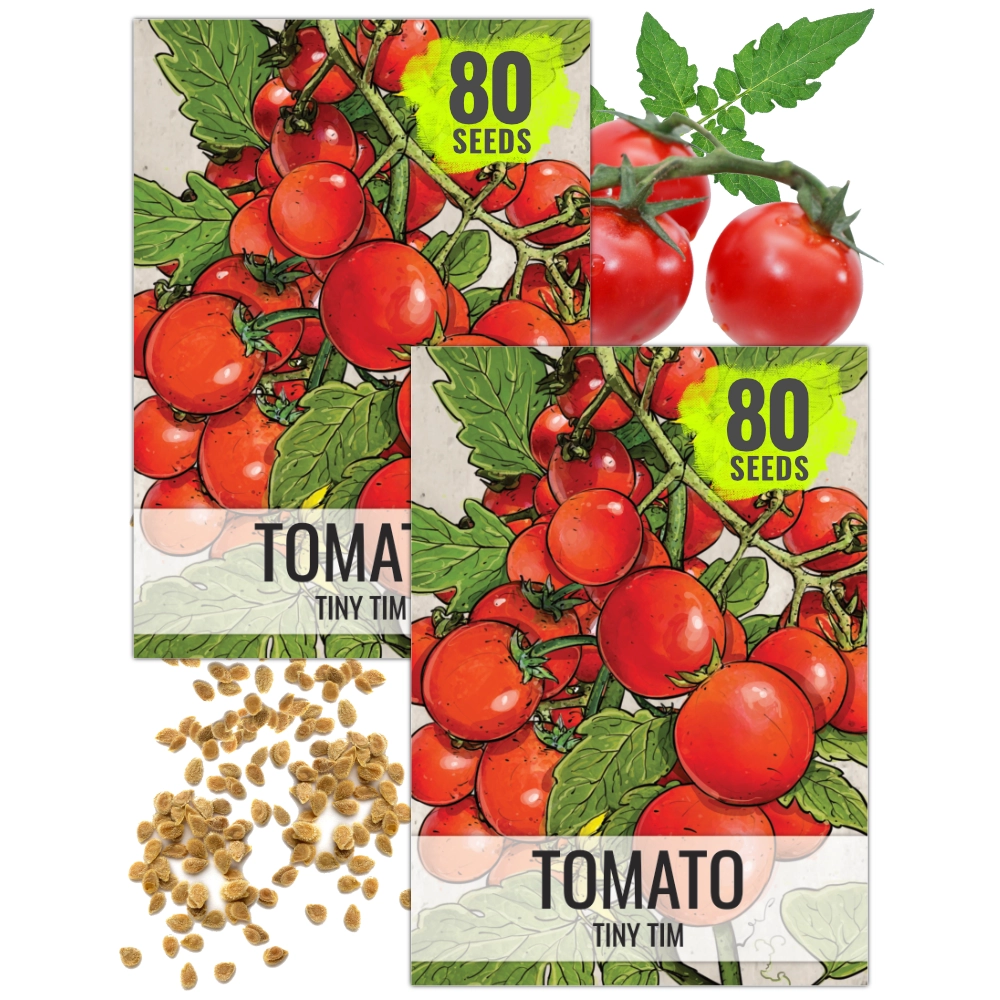 Tiny Tim Tomato Seeds For Planting (Lycopersicon esculentum)