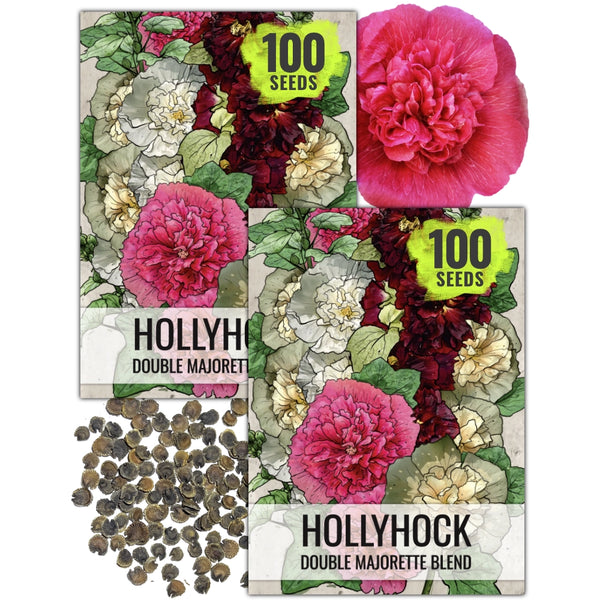 Double Majorette Hollyhock Mixture (Alcea rosea)