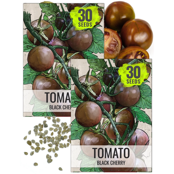 Black Cherry Tomato Seeds For Planting (Solanum lycopersicum)