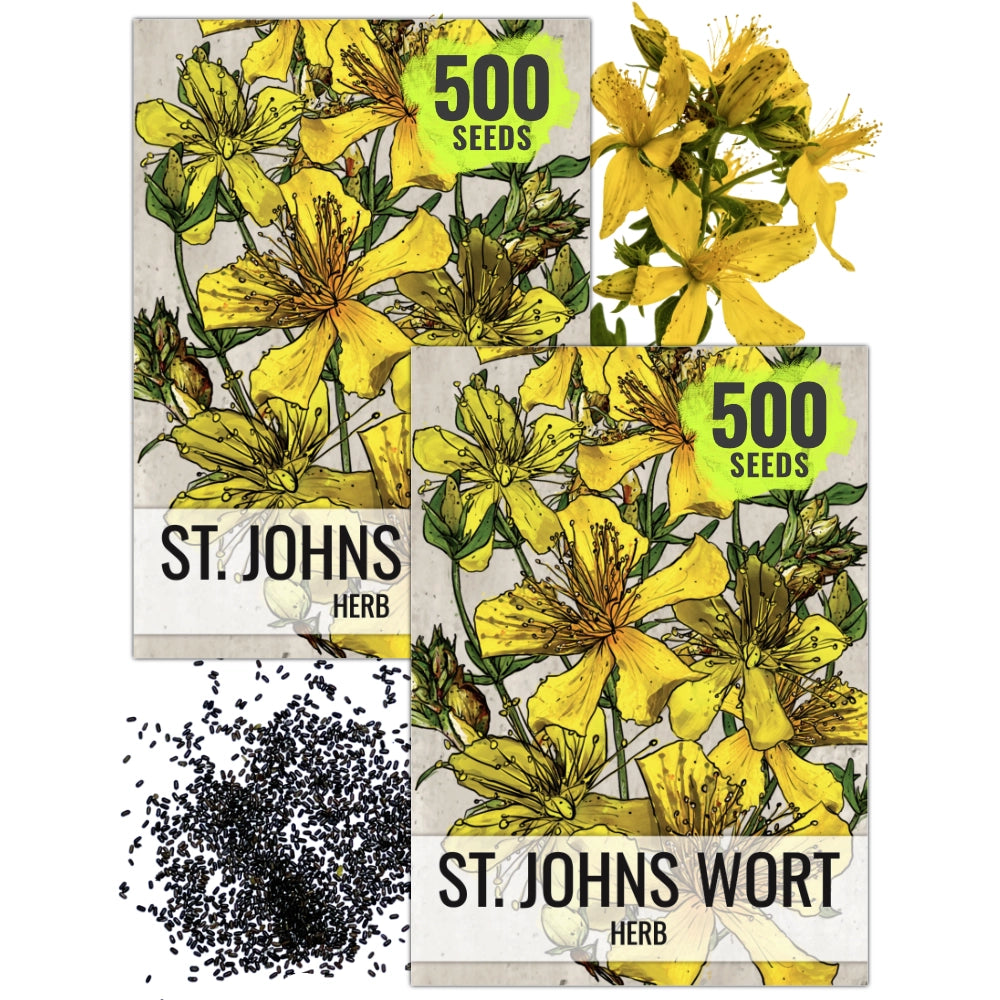 St. Johns Wort Herb Seeds For Planting (Hypericum perforatum)