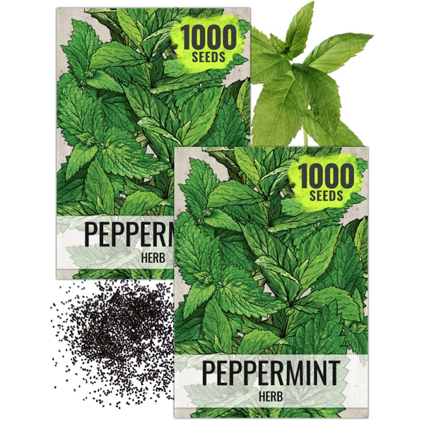 Peppermint Herb Seeds For Planting (Mentha piperita)