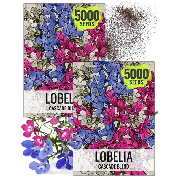 lobelia flower seeds Cascade Blend Lobelia Seeds For Planting (Lobelia pendula) Seed Needs – Seed Needs LLC
