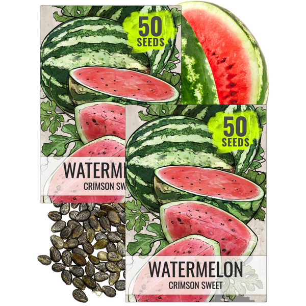 Crimson Sweet Watermelon Seeds For Planting (Citrullus lanatus)