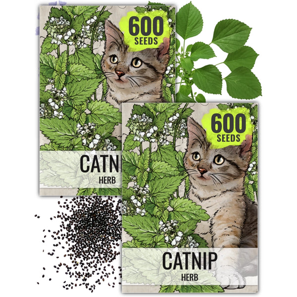 Catnip Herb Seeds For Planting (Nepeta cataria)