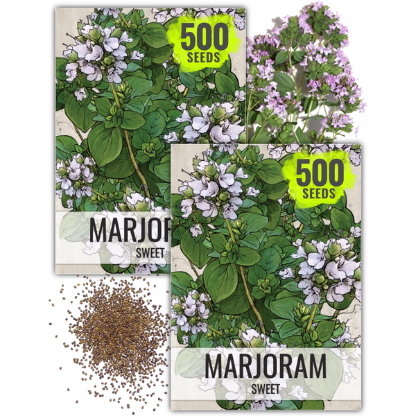 gurmar plant seeds Sweet Marjoram Herb Seeds For Planting (Origanum majorana) Seed Needs – Seed Needs LLC