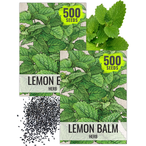 Lemon Balm Herb Seeds For Planting (Melissa officinalis)