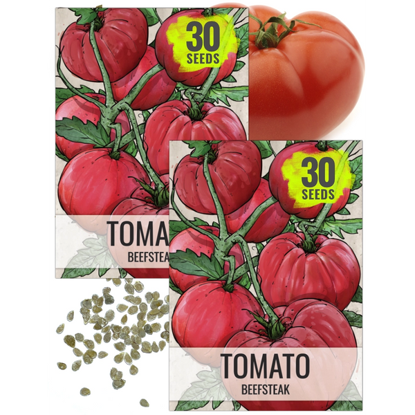 Beefsteak Tomato Seeds For Planting (Lycopersicon esculentum)