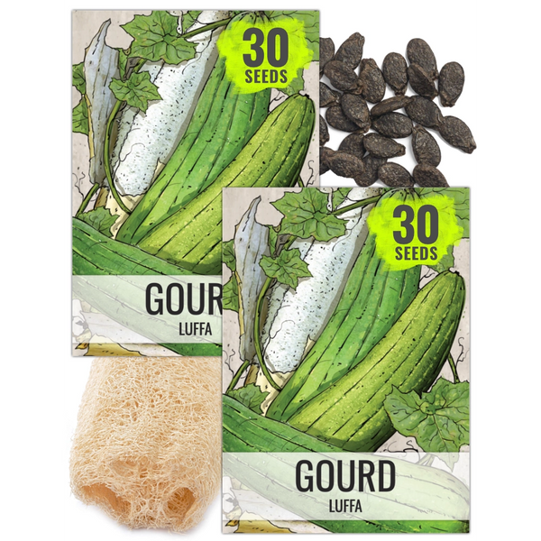 Luffa Gourd Seeds For Planting (Luffa aegyptiaca)
